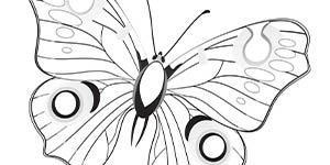 BHA19 Coloring Page Butterfly
