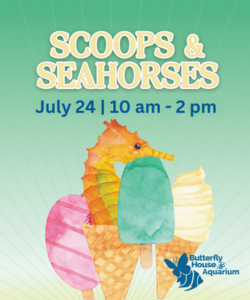 Scoops Seahorses