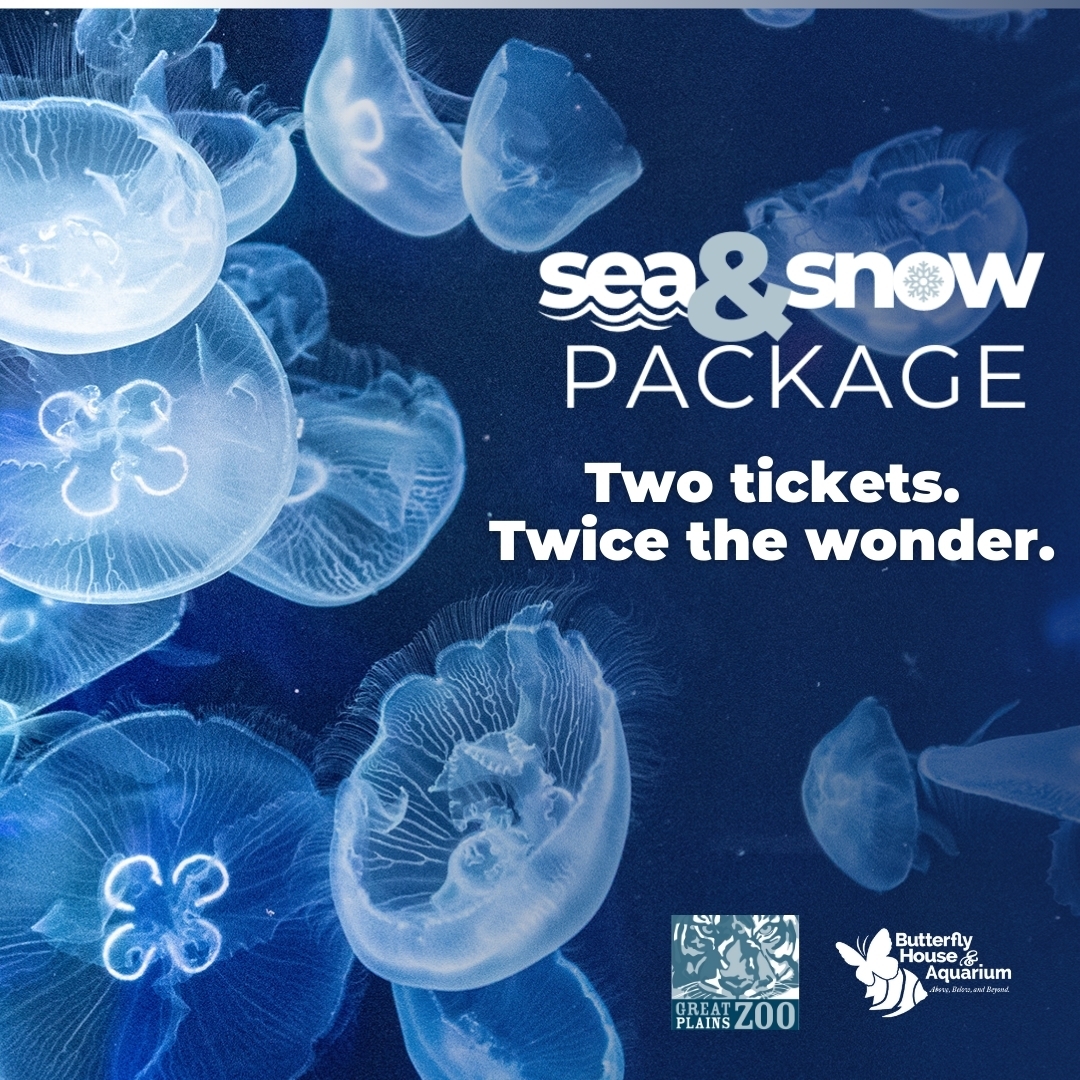 Sea Snow Package
