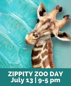 Zippity Zoo Day